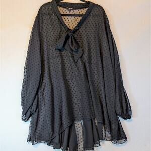 Cha Cha Vente Tunic Sheer Swiss Dot 2X Black Blouse
